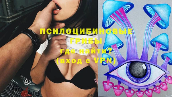apvp Белокуриха