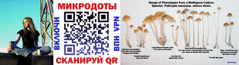 Псилоцибиновые грибы Psilocybine cubensis  блэк спрут ТОР  Павловск 